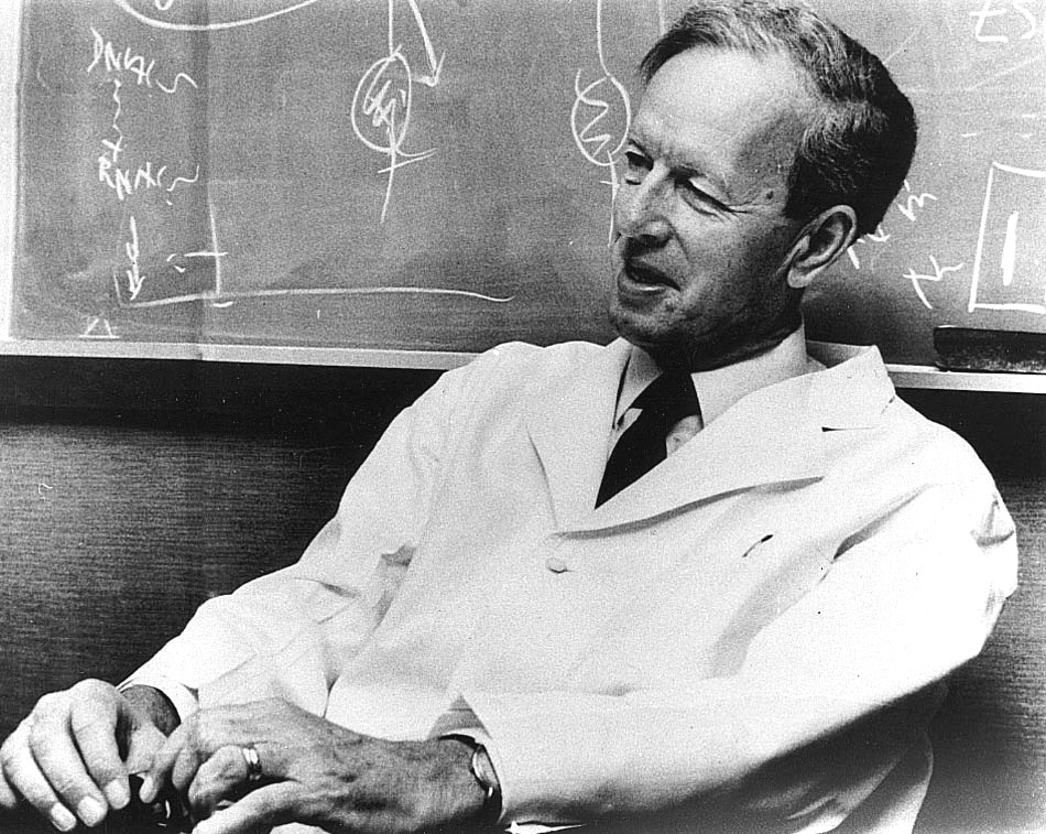 Jan Waldenström
